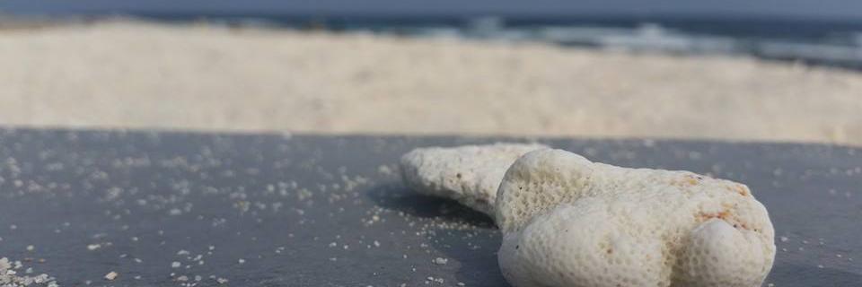 NahzaI's profile banner image