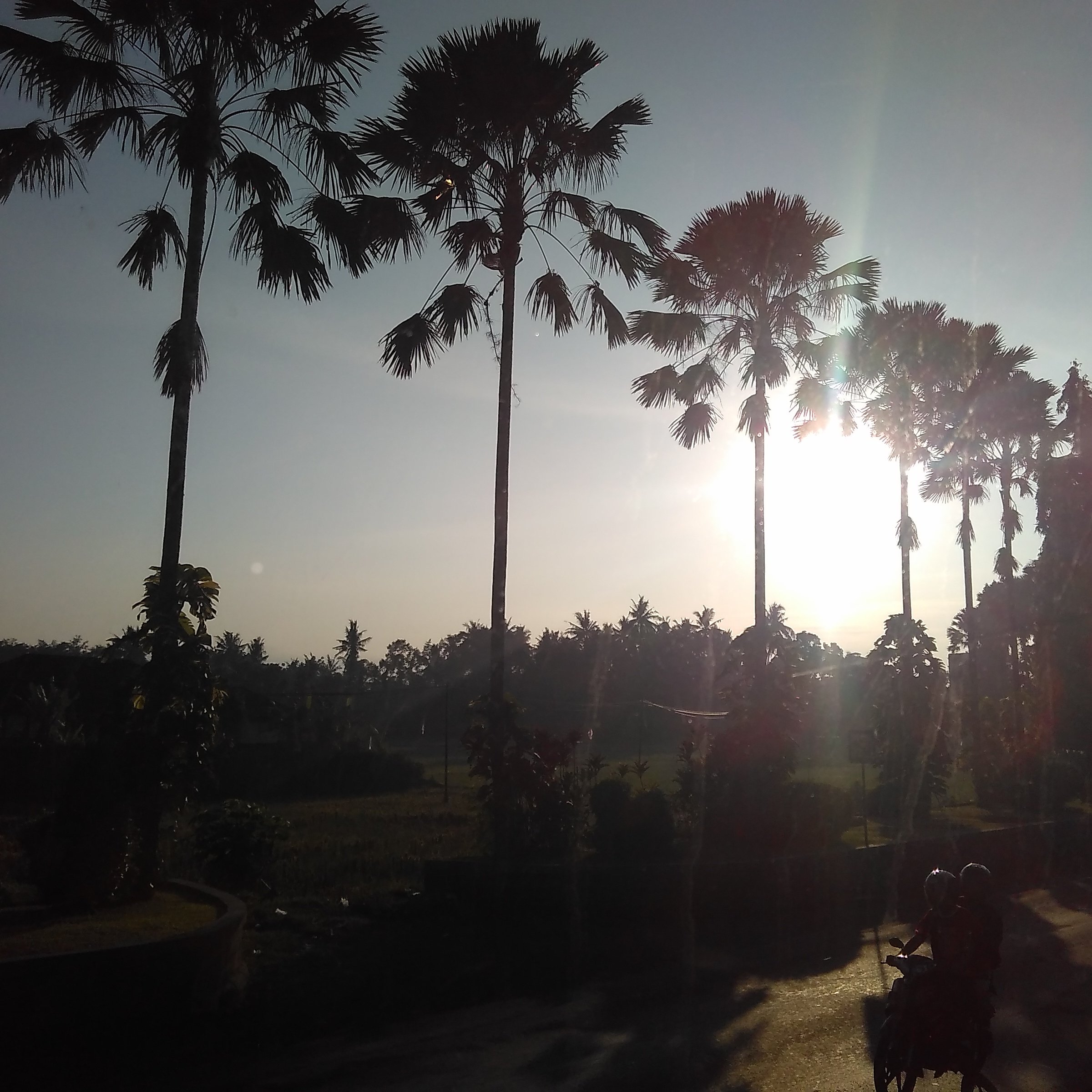 sudahjaditeya's profile banner image