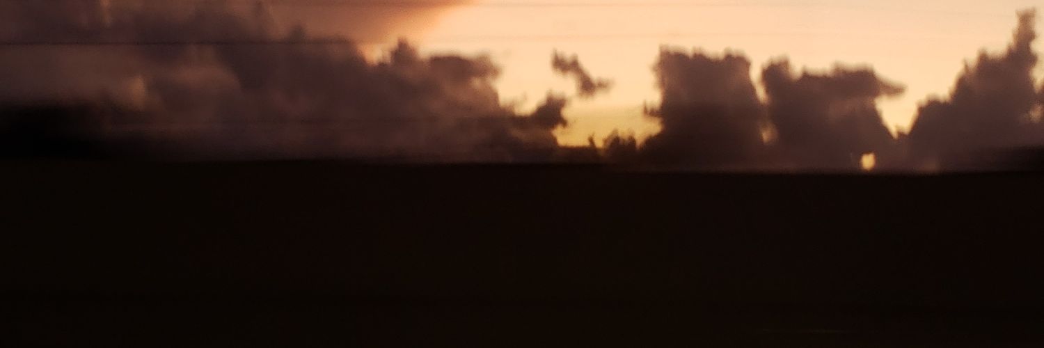 James, Son of Leslie banner