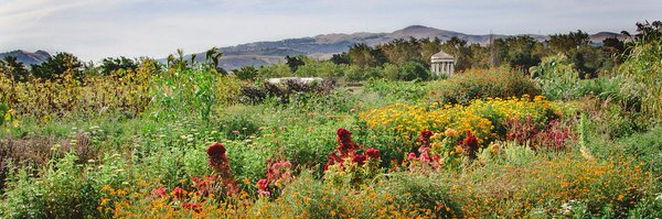 SustAgEd Profile Banner