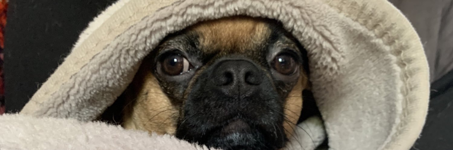 RyyThompson's profile banner image