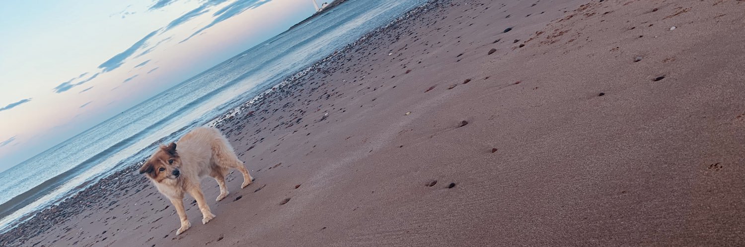 Georgiawardle1's profile banner image