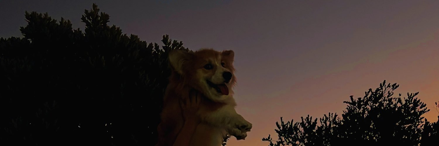 winniegiam25's profile banner image