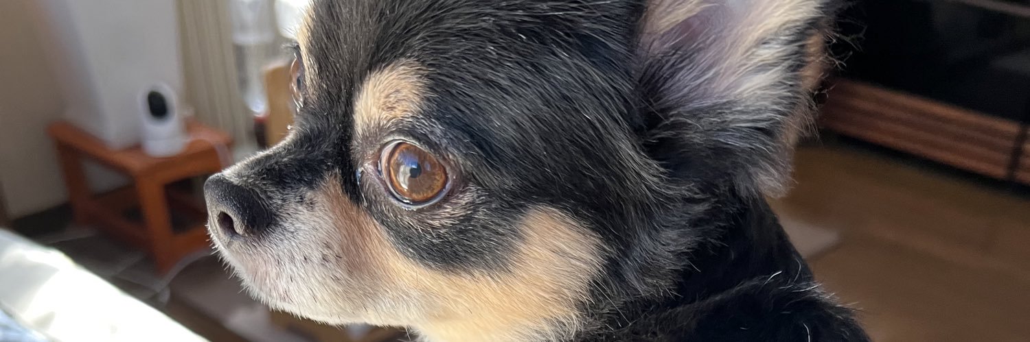 tofu8pg's profile banner image