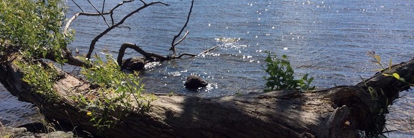 MatinaPapachristoudi banner