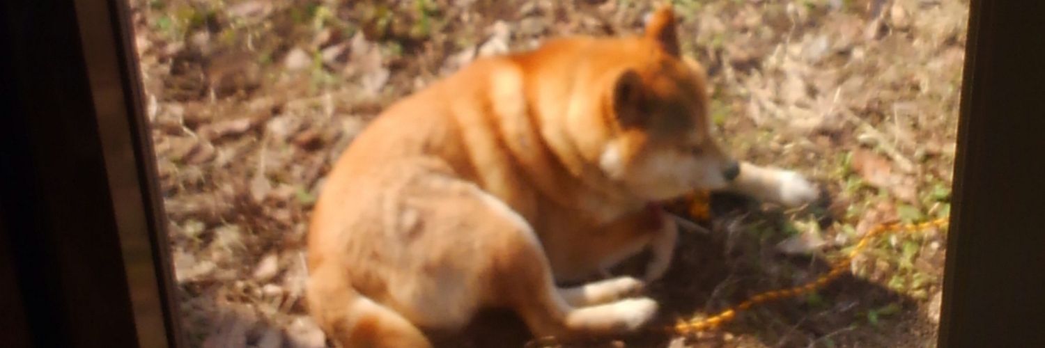 rokki0922's profile banner image