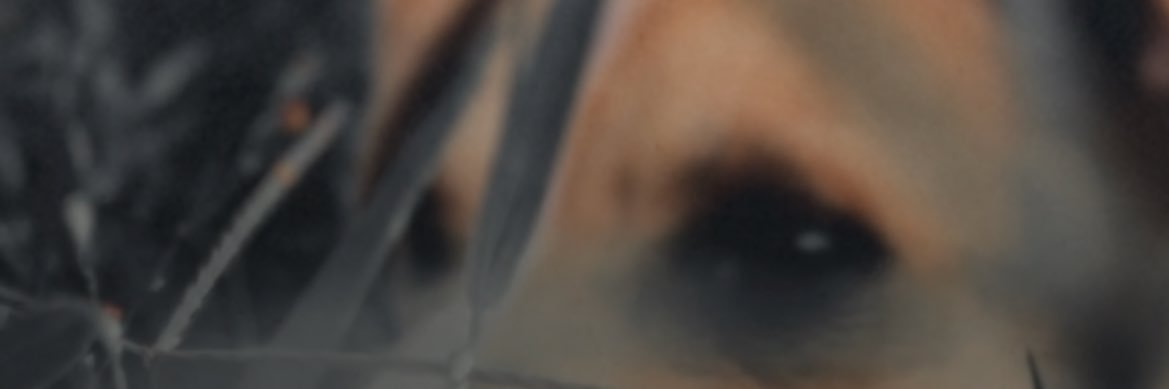 OratileG_'s profile banner image
