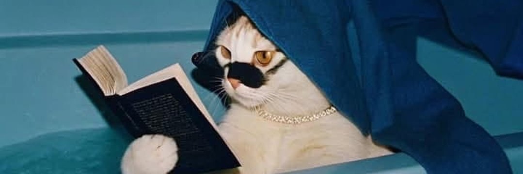 Ananda Marques banner