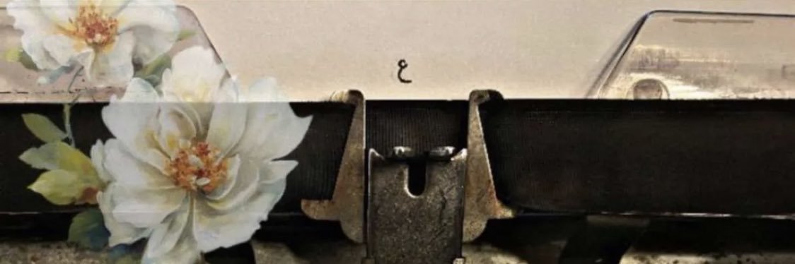 ___5oii's profile banner image