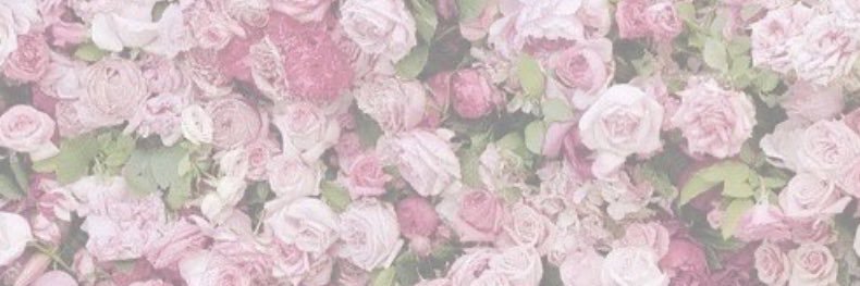 NatashaCondy's profile banner image