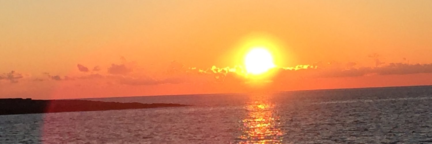 AlisonBennett14's profile banner image