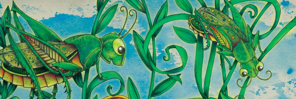 Patricia J. Murphy banner