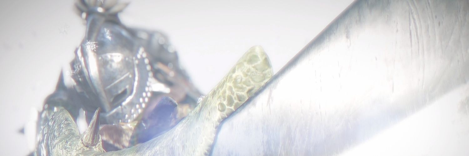 NagamonZelda's profile banner image