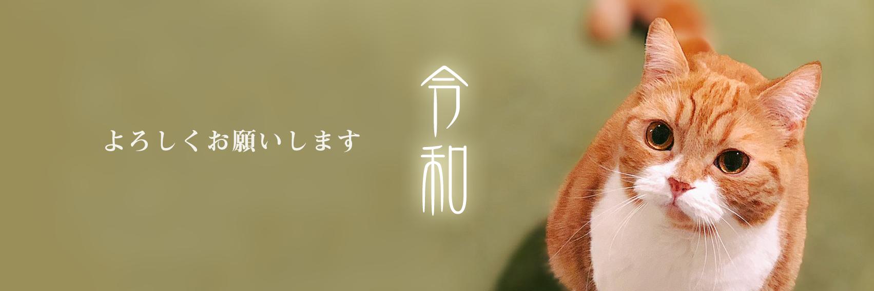 Mihoco3's profile banner image
