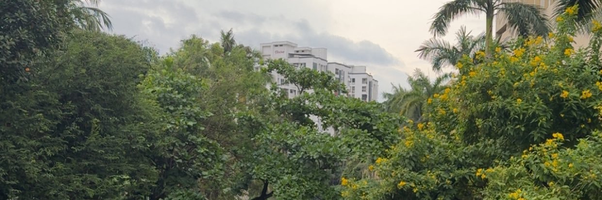 shifoo1's profile banner image