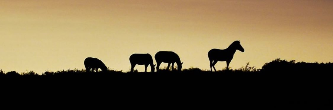 42Double's profile banner image