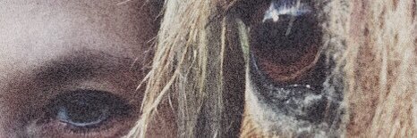 ebberline's profile banner image