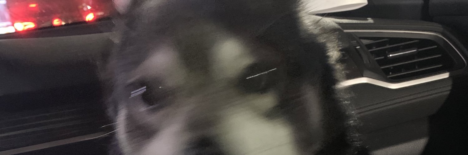 deadgerl's profile banner image