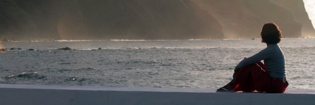 Madeira Island's banner