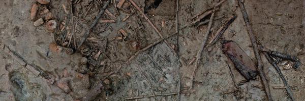 MustFarm Profile Banner