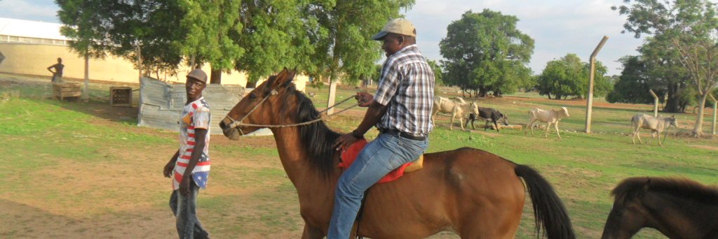 Davie Kadyampakeni banner