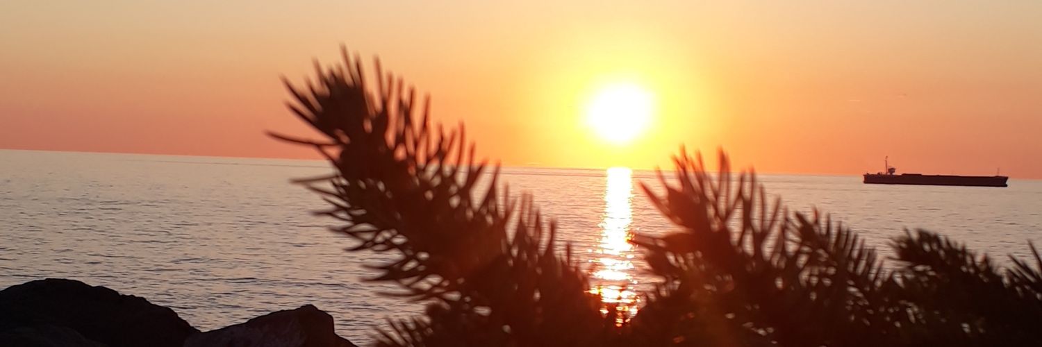 aesenaydin's profile banner image