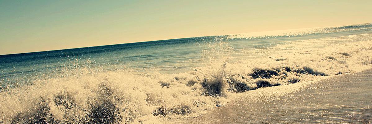 SVETHEBEES's profile banner image