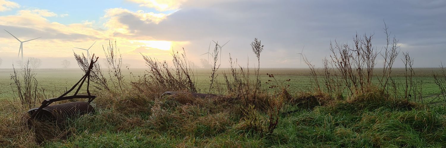 AngelaHelliwell's profile banner image
