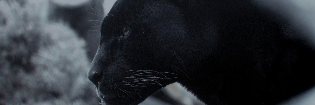 joerevard's profile banner image