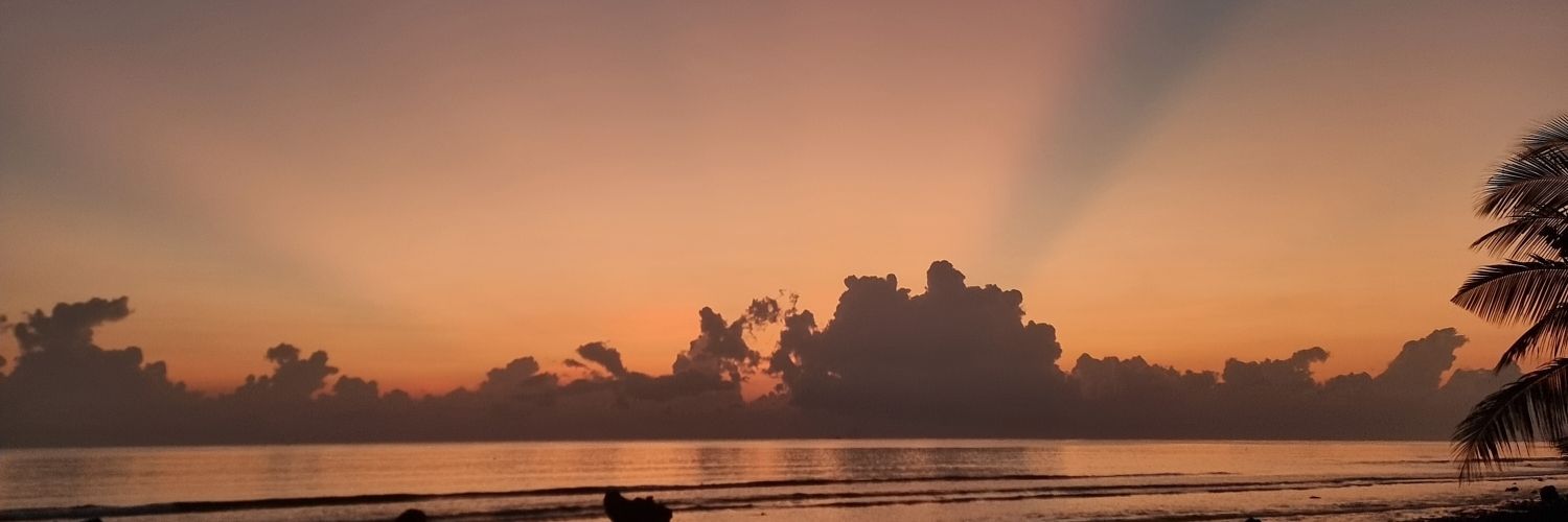 ShaoSedano's profile banner image