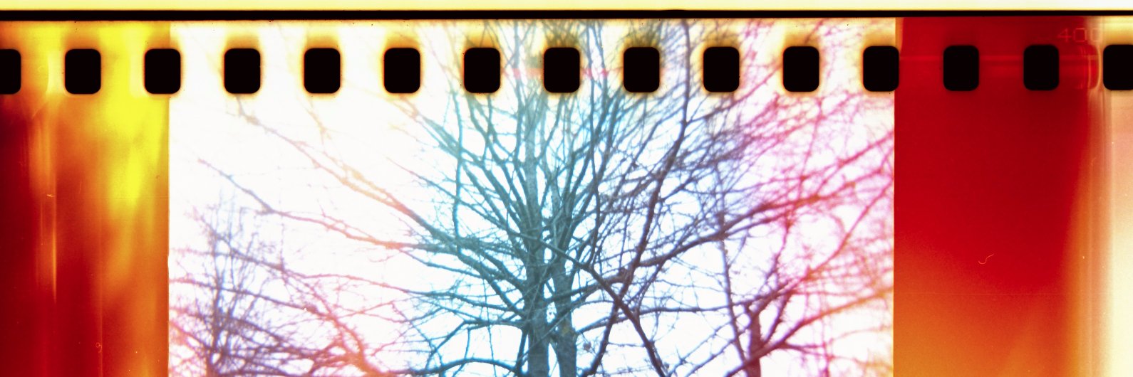 bobdehoff's profile banner image