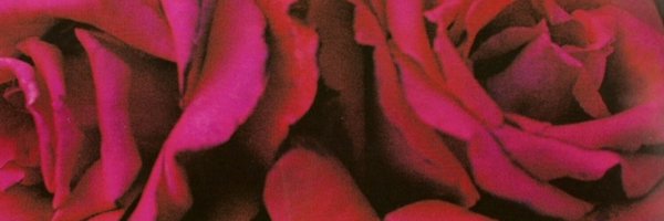 haniainabox Profile Banner