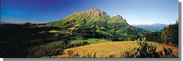 Mark Tobin 🇮🇪🇿🇦 banner