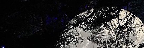 beth_telford's profile banner image