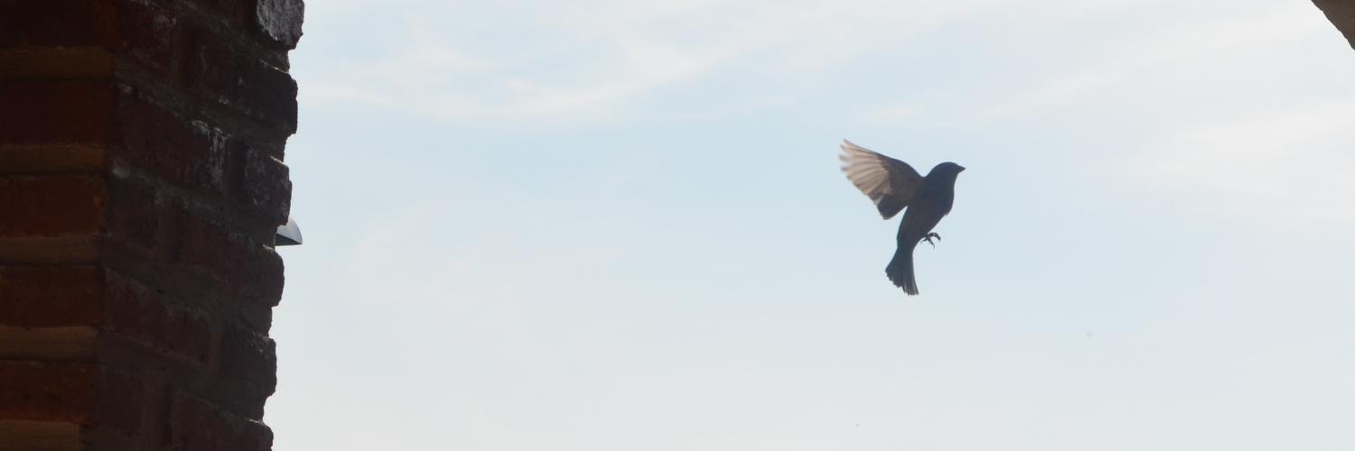 ThatJazmin's profile banner image