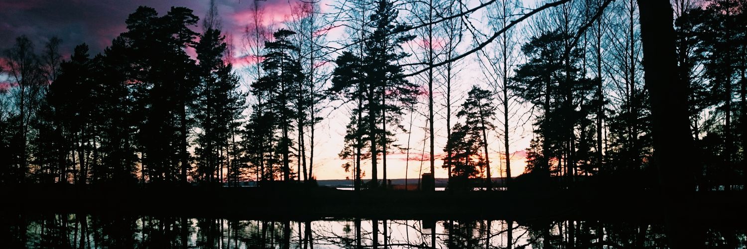 ellenostergren's profile banner image