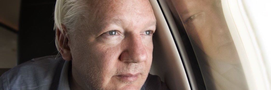 Alejandra M.Hackett banner