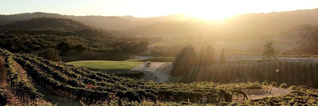 OpoloWines's profile banner image