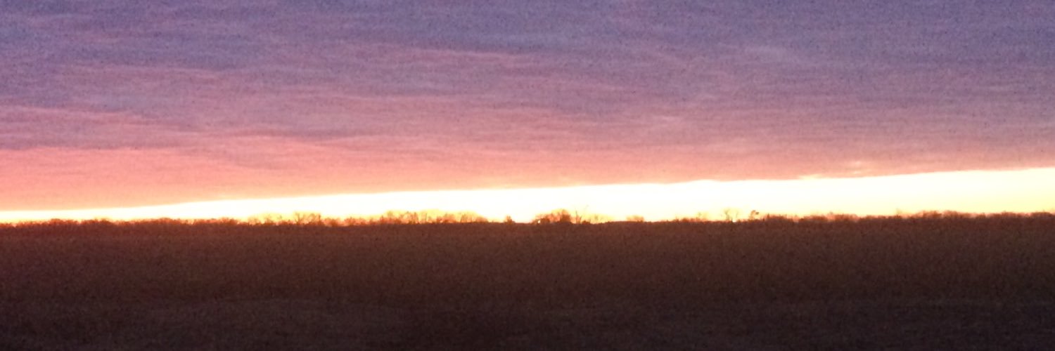 ColtonWellnitz's profile banner image