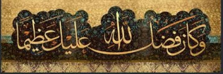 abuali795's profile banner image