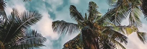 rahuljoshi268's profile banner image