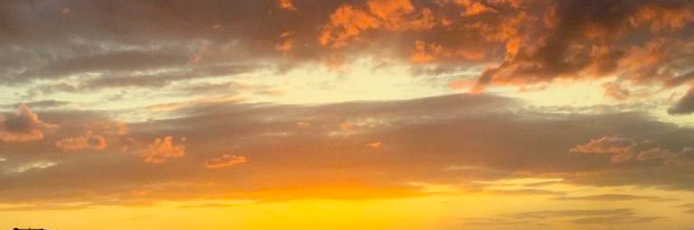 mona_a321's profile banner image