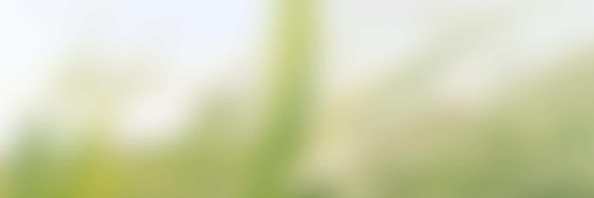 share_ride's profile banner image