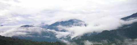 paisapo's profile banner image