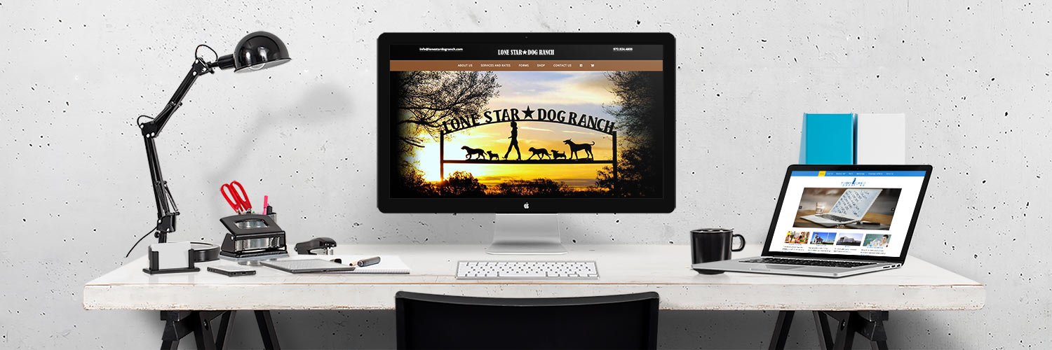 TinyStarsDawn's profile banner image