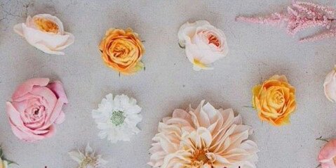 chintya_dea's profile banner image