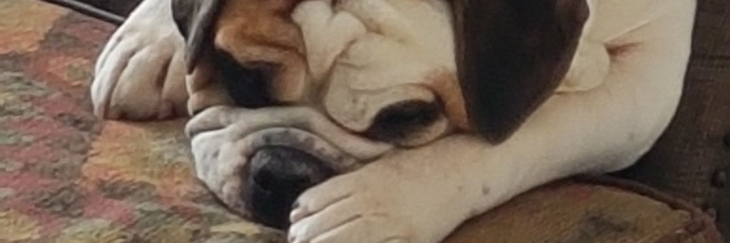 John_B_76's profile banner image