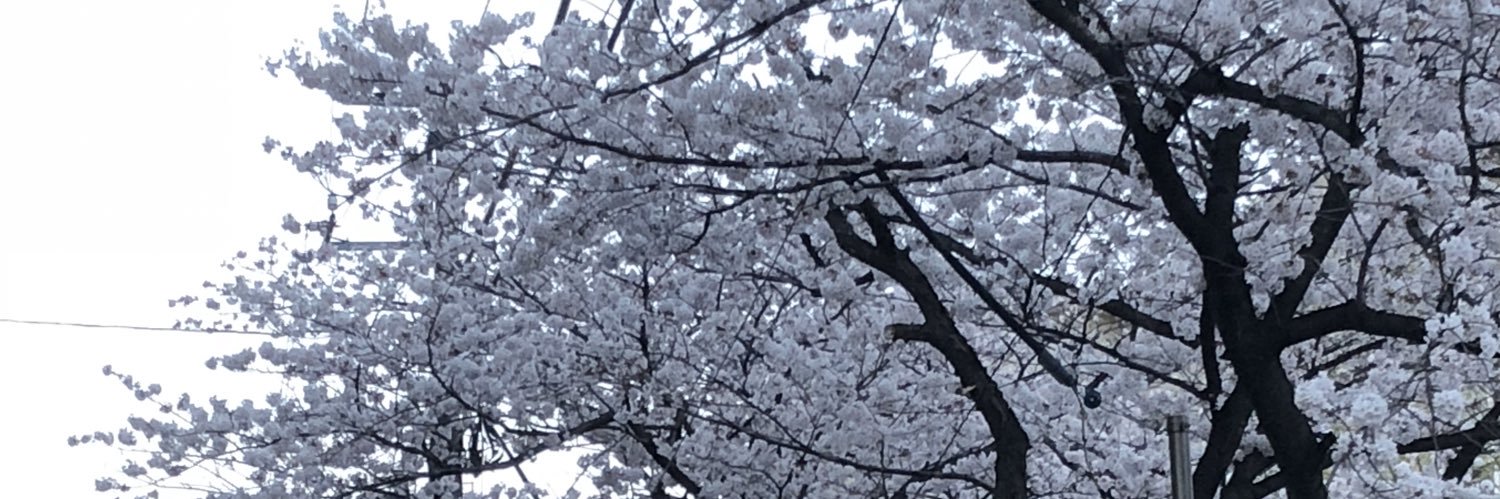 7gi262's profile banner image