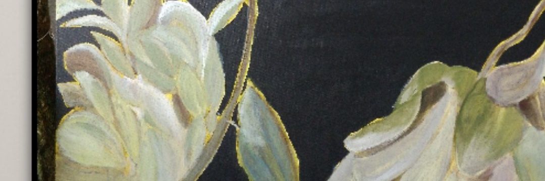 lucyx_eth's profile banner image