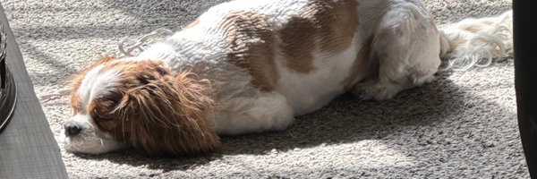 TreyJ1993 Profile Banner